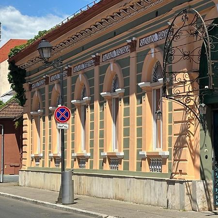 Pensiunea Casa Rusu Baia Mare Exterior foto